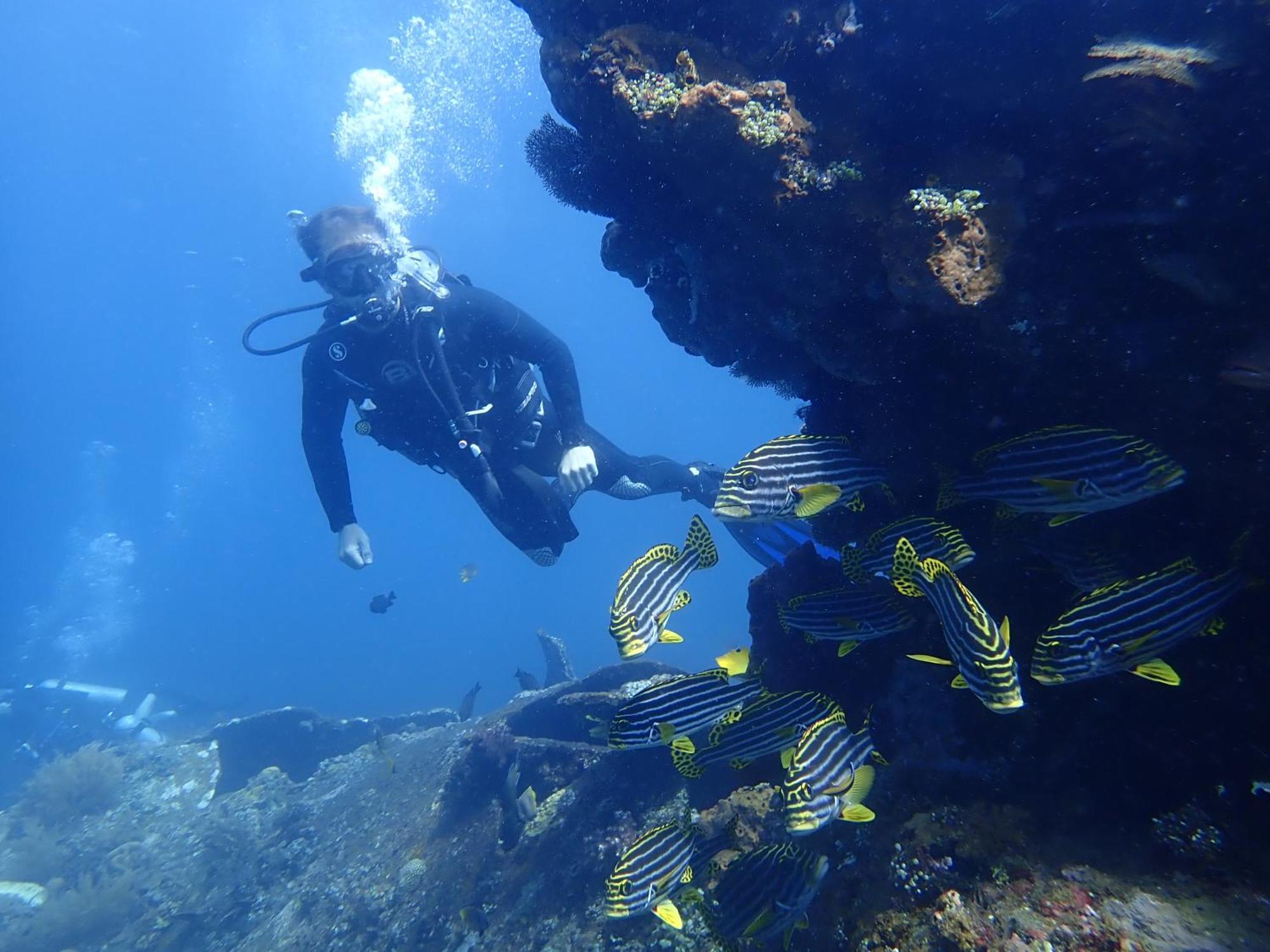 Palm Springs Bali Dive Resort Tulamben Kültér fotó
